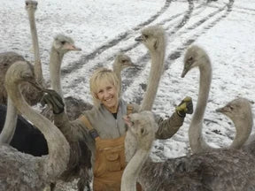 "They're Healthy Birds": Austrige's Perspective on the CFIA Ostrich Culling Process