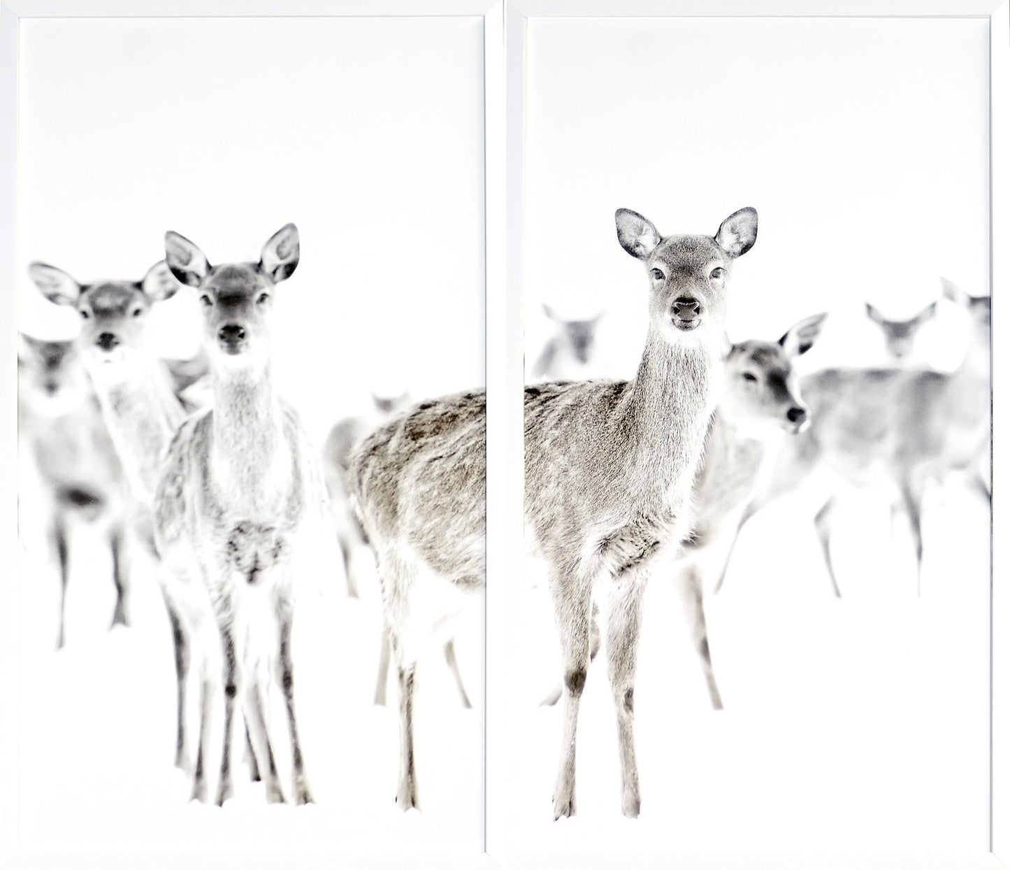 Diptych Surveillance