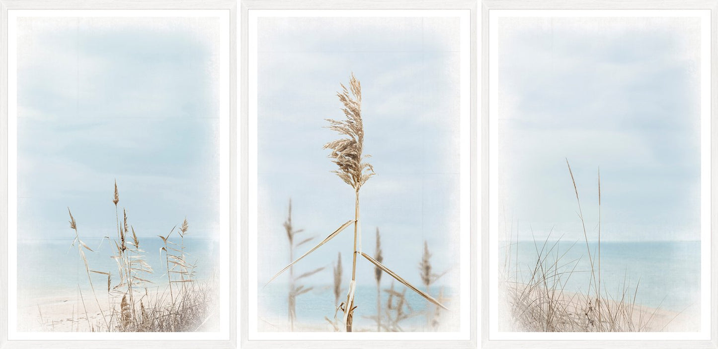 Triptych Dune Grass