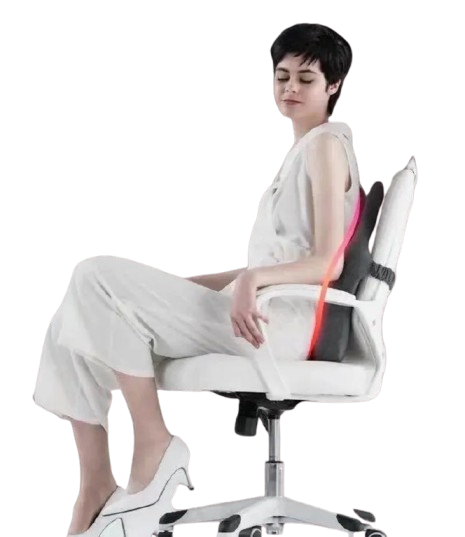 Austrige Memory Foam Back Cushion - Lumbar Support Pillow