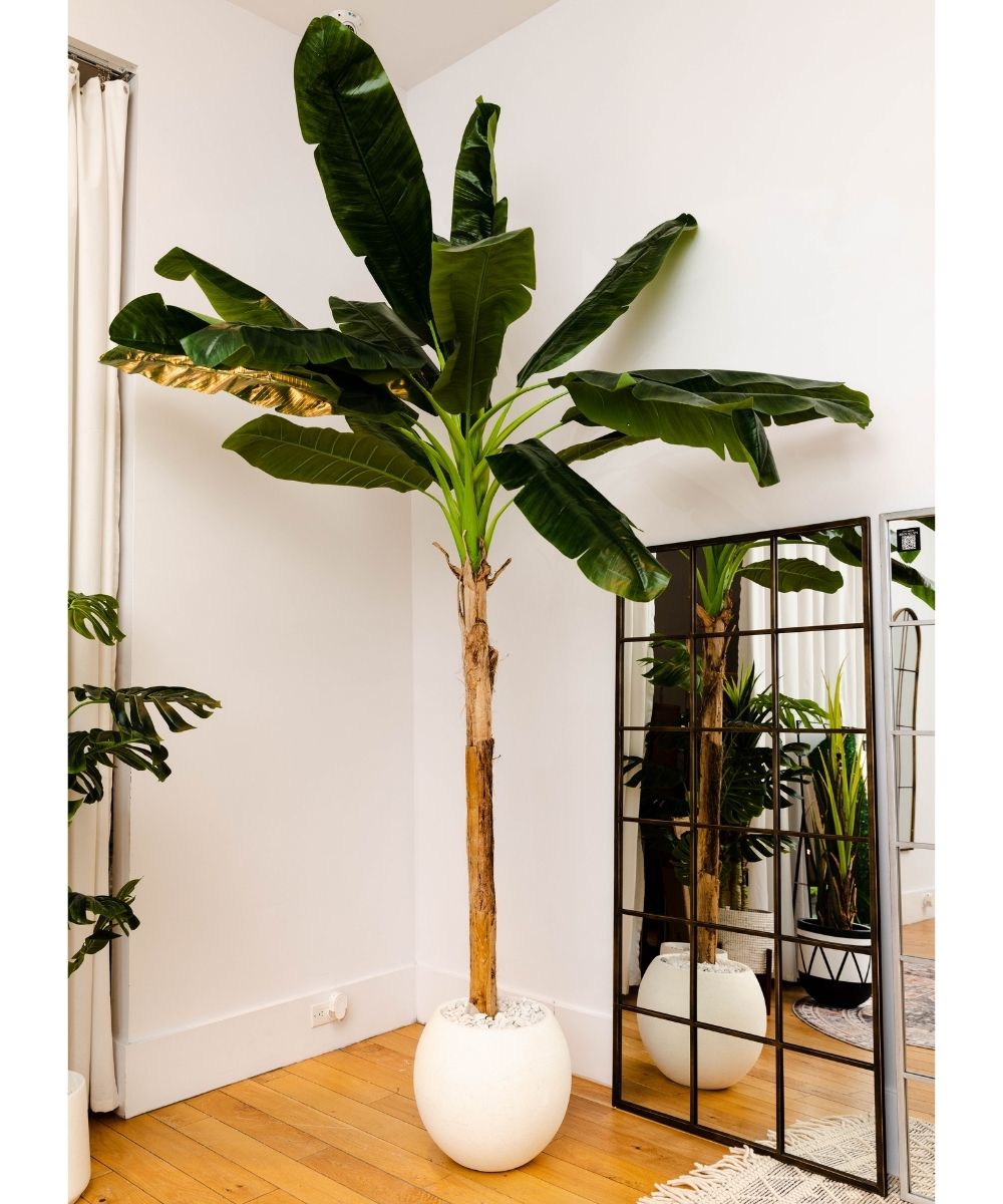 Rolo Round Cement Planter (Multiple Sizes)
