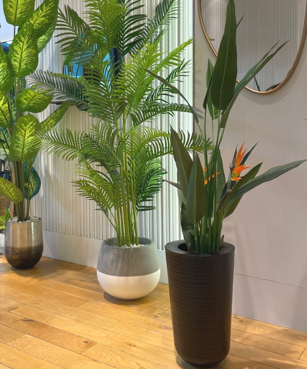 Zamora Cement Planter (Multiple Sizes)