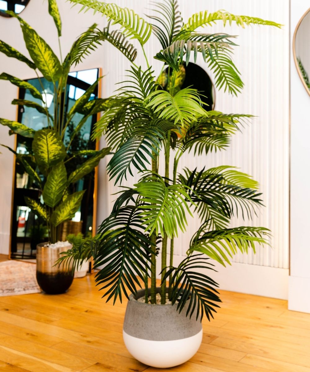 Zamora Cement Planter (Multiple Sizes)