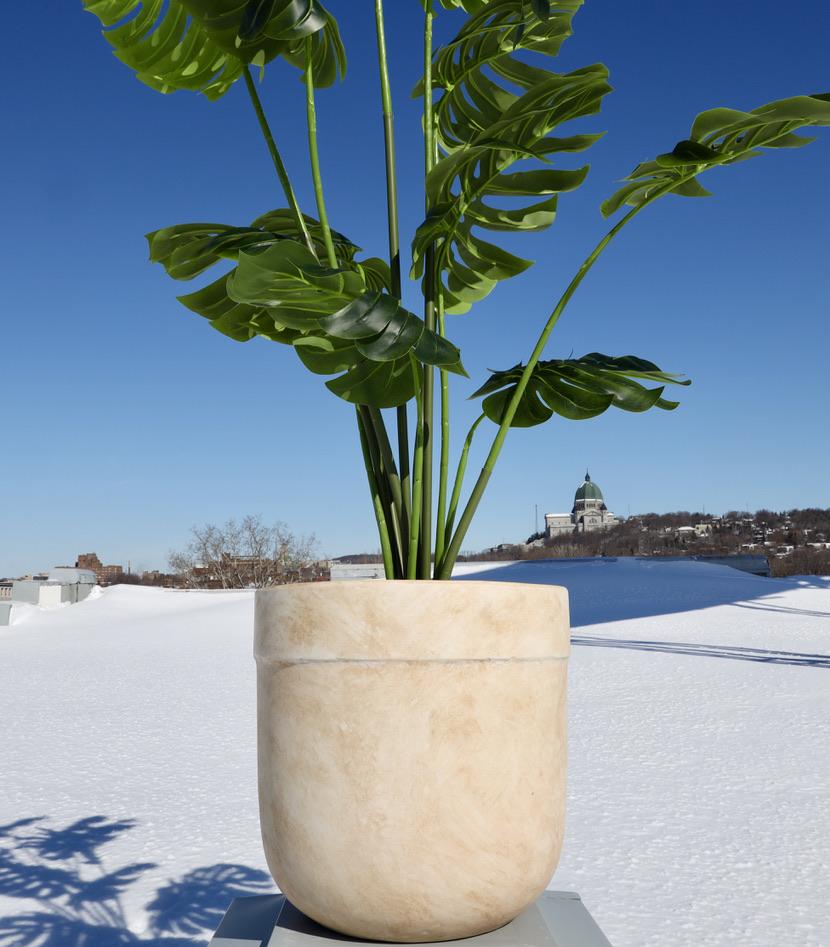 Yucata Cement Planter 15''