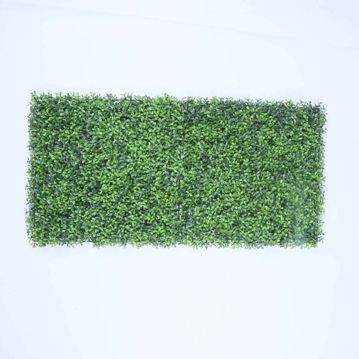 Valencia (box of 12)