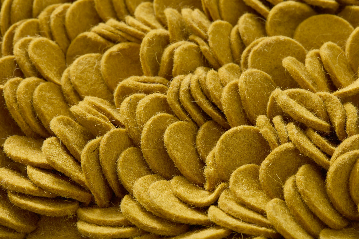Tumeric Yellow