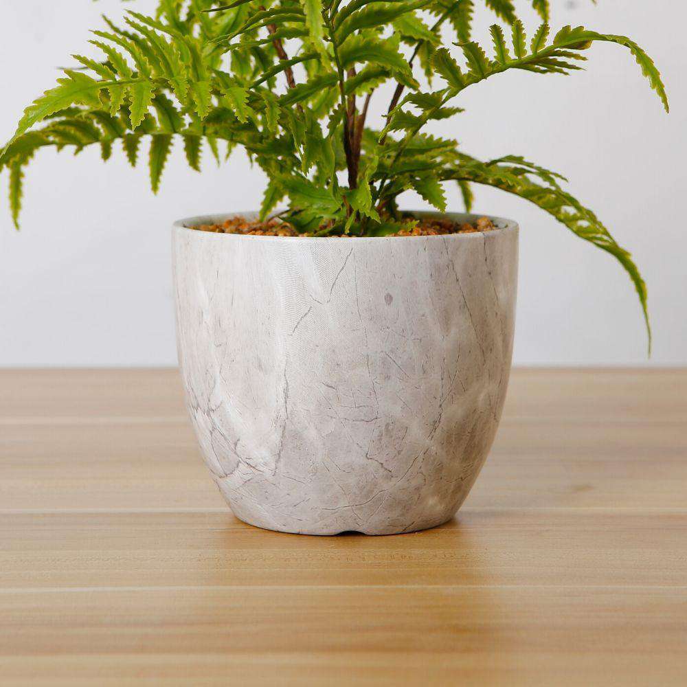Bera Potted Faux Fern