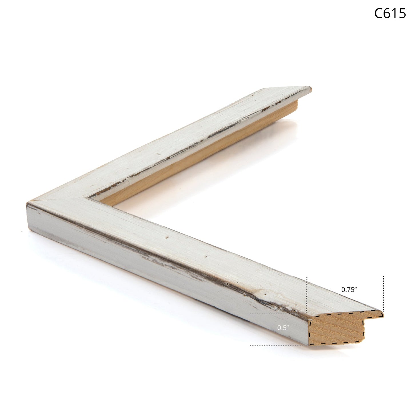 Bears In Yellowstone C. 1950