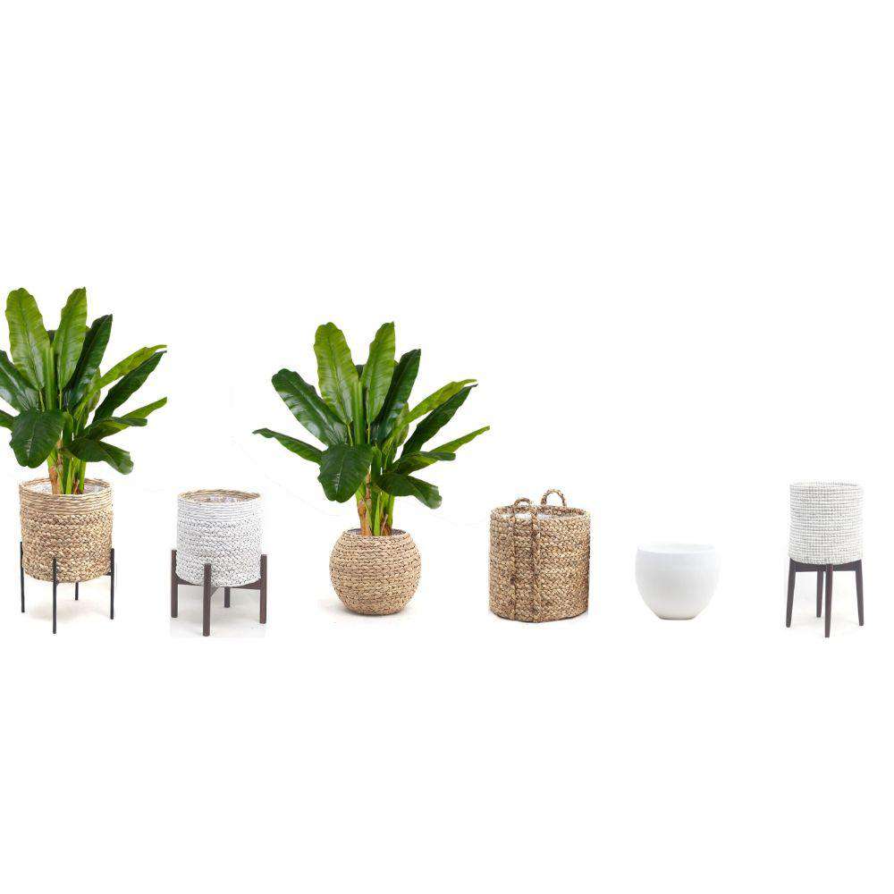 Cali Artificial Banana Tree Potted Plant 43"