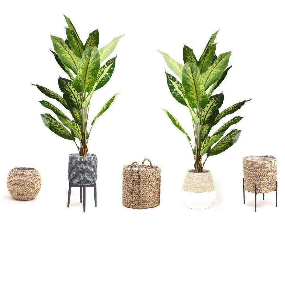 Dira Artificial Evergreen Potted Plant (Multiple Sizes)