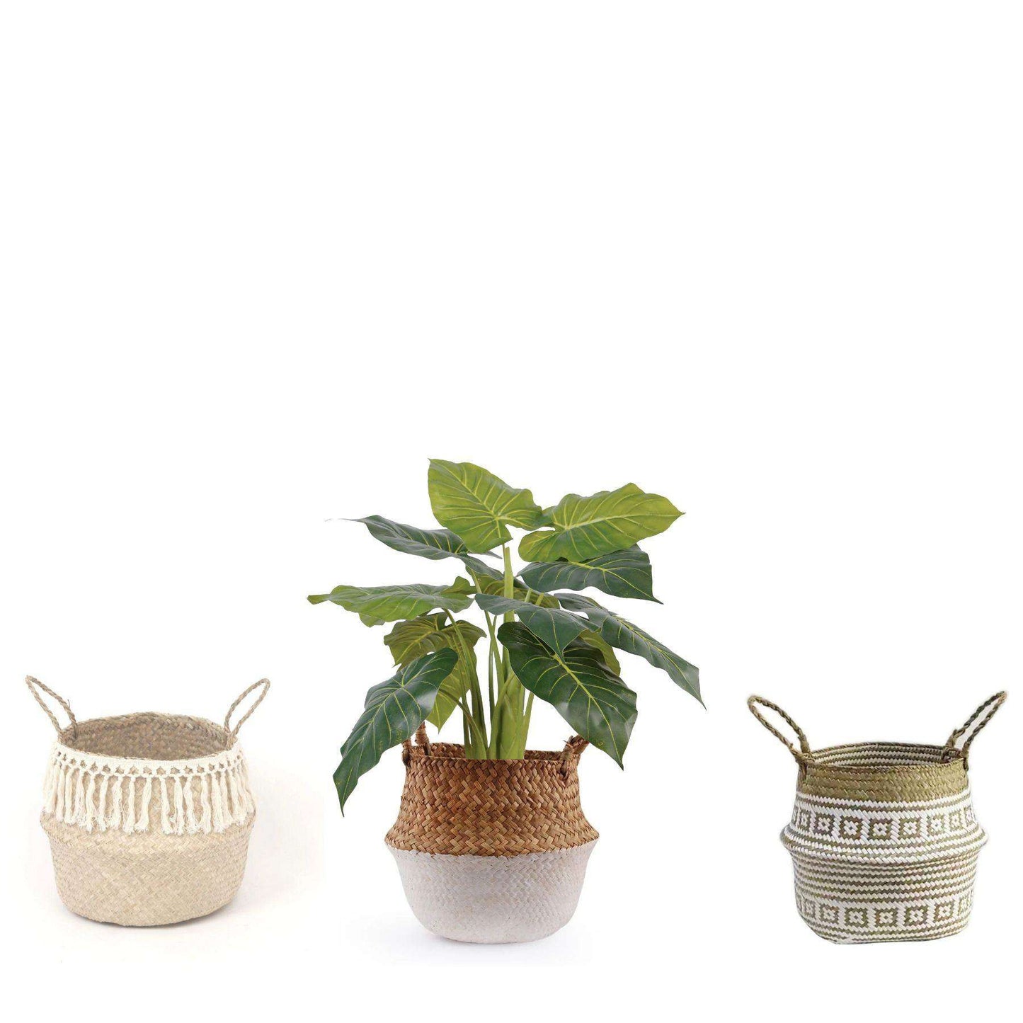 Dora Artificial Alocasia Potted Plant 28"