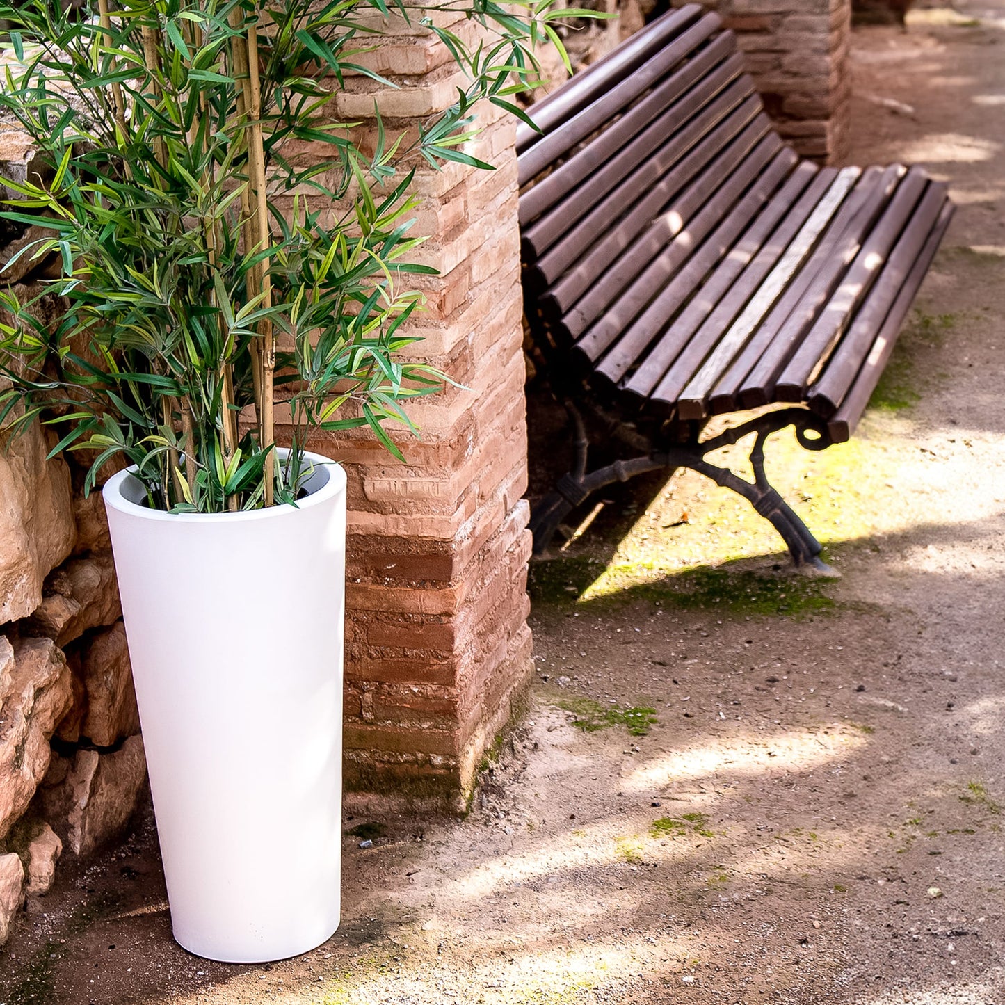 Ficus Solar & Rechargeable
