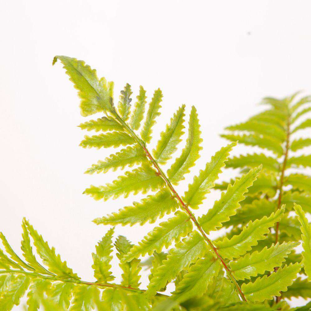 Kuwu Potted Faux Fern