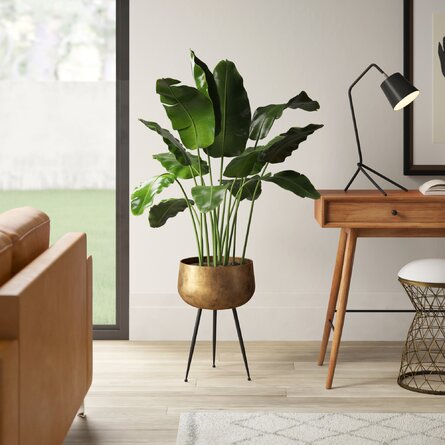 Sara - Brass Planter With Black Legs