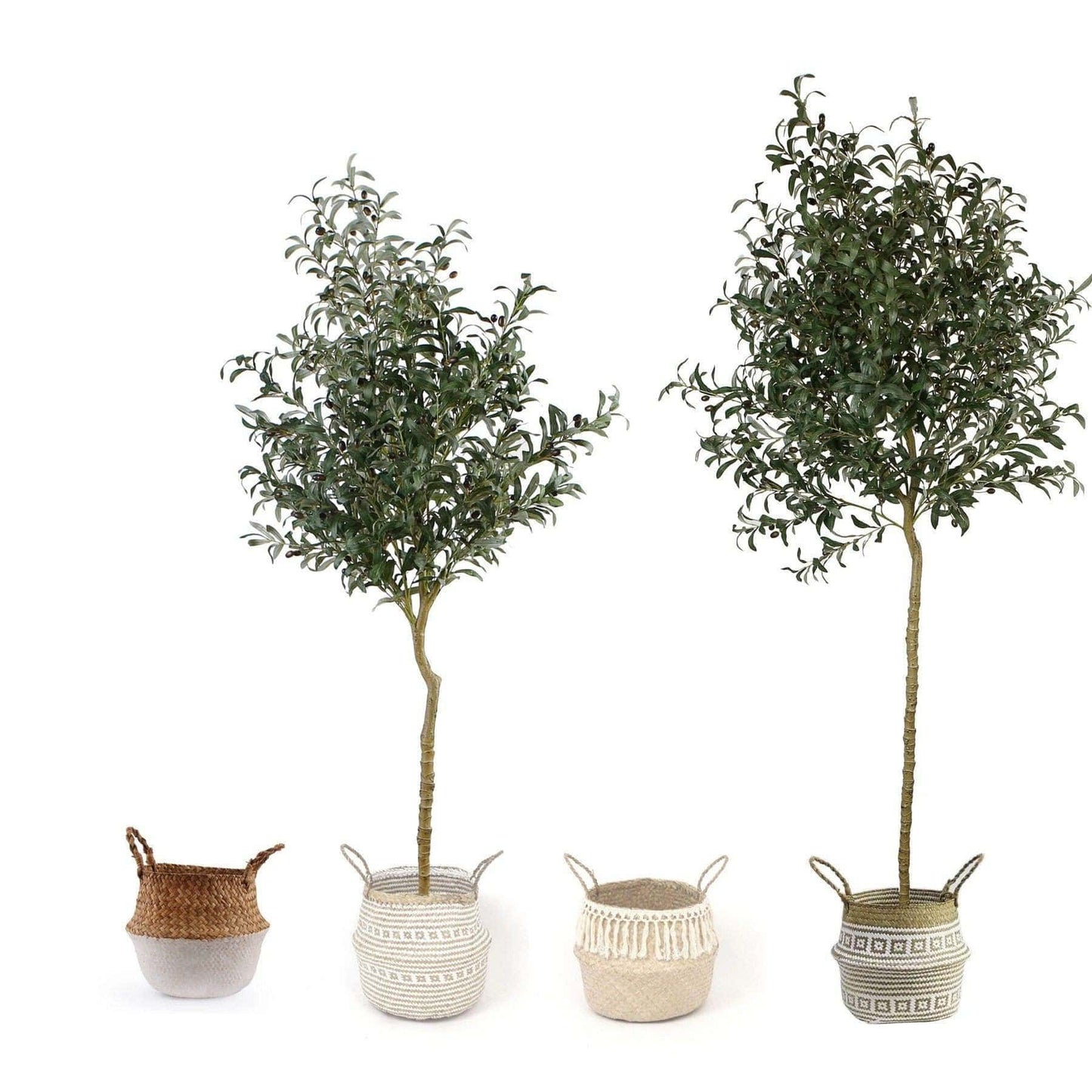 Oli Artificial Olive Tree Potted Plant (Multiple Sizes)