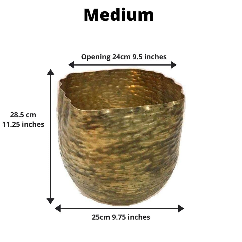 Poloma - Brass Basket Planter (Multiple Sizes)