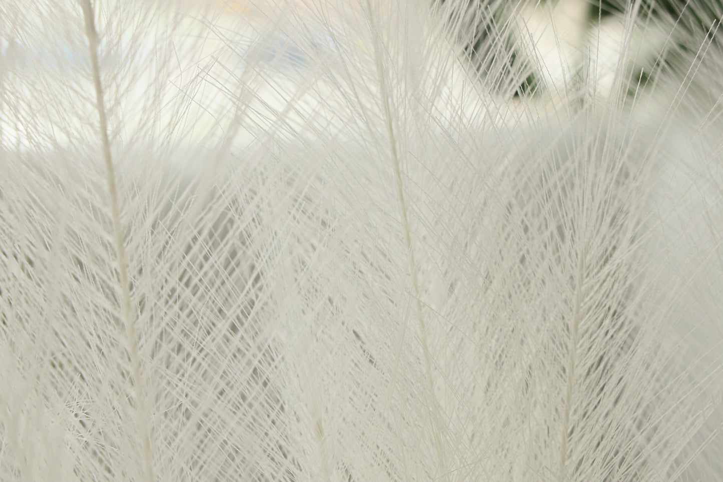 Artificial Pampas Grass Arrangement Ivory (2 Sizes)