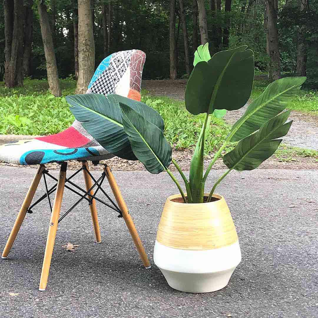 Sal M - Bamboo Floor Planter