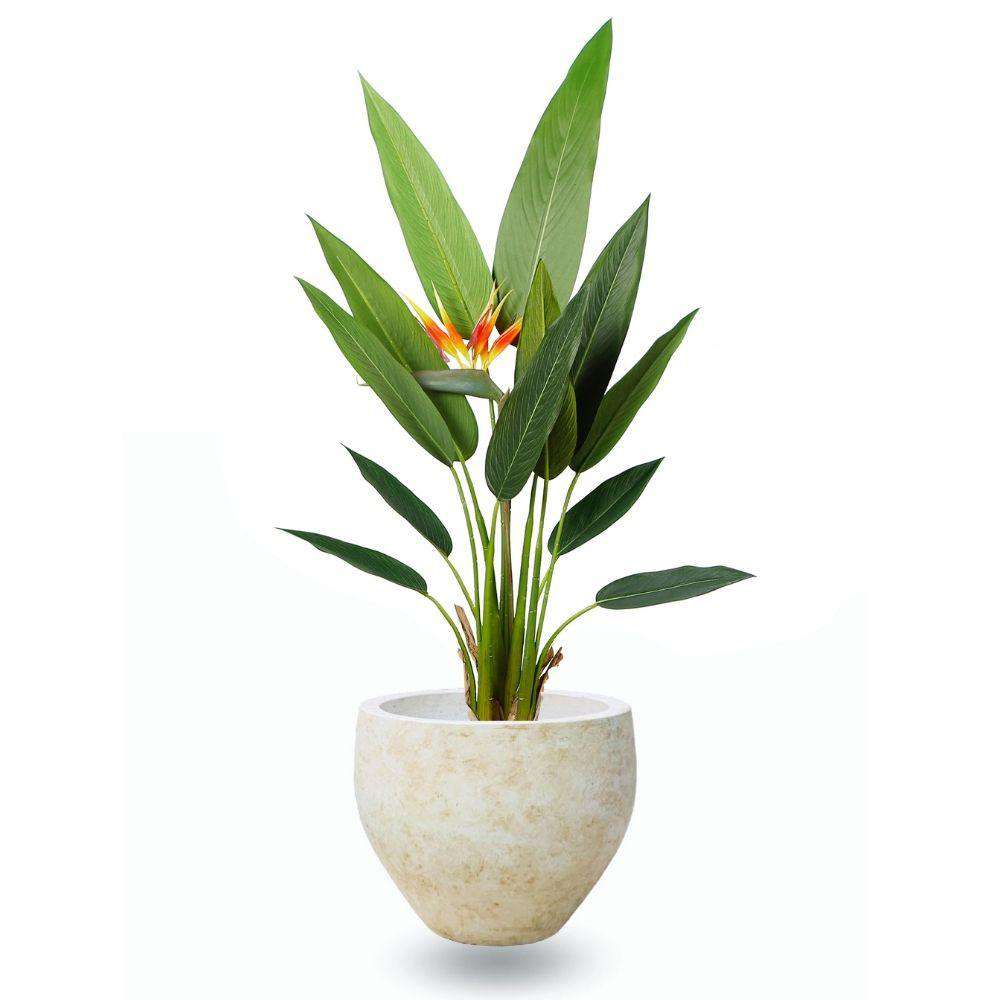 Sadira Cement Planter (Multiple Sizes)