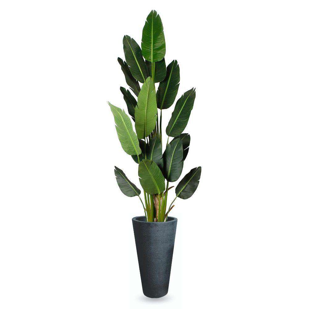 Vaneto Black Cement Planter (Multiple Sizes)