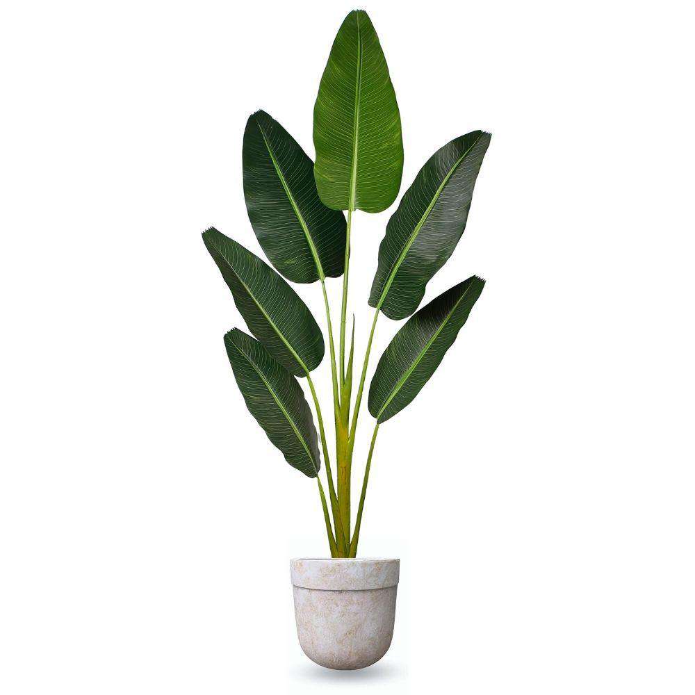 Yucata Cement Planter 15''
