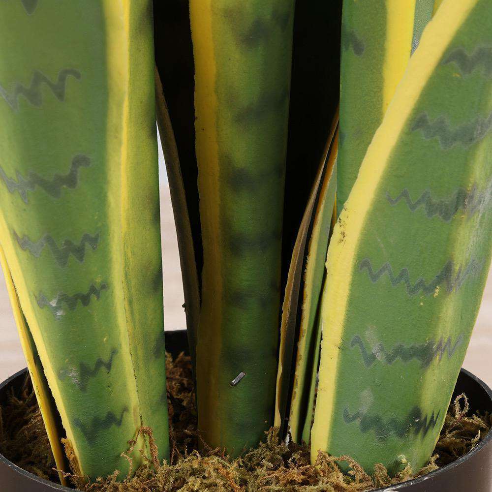Zora Artificial Snake Sansevieria Yellow And Green Potted Plant 30''