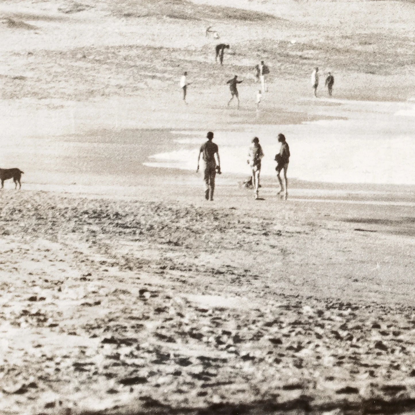 Palm Beach C.1965