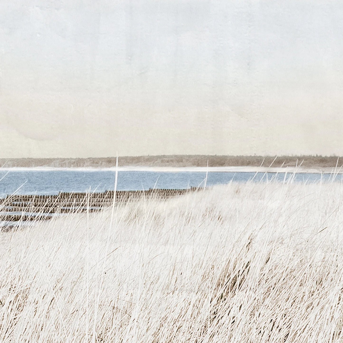 Seaside Cottage