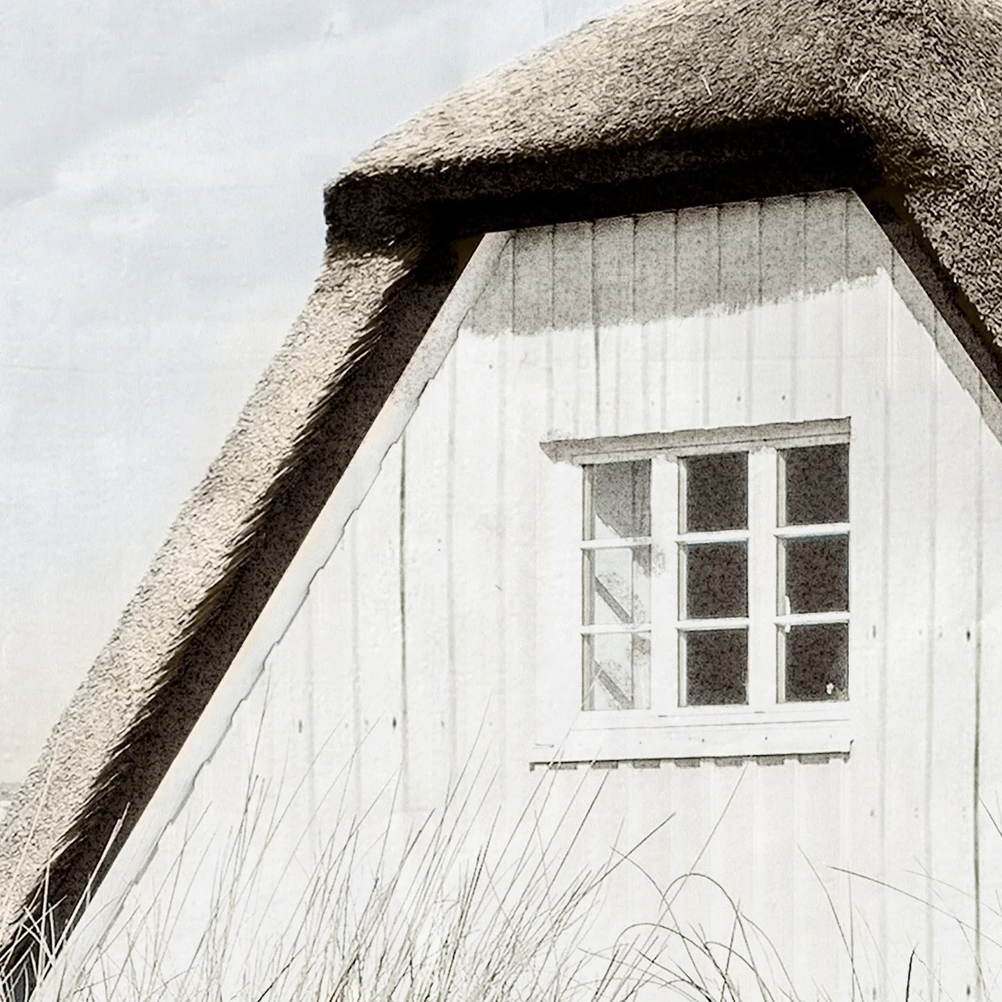 Seaside Cottage