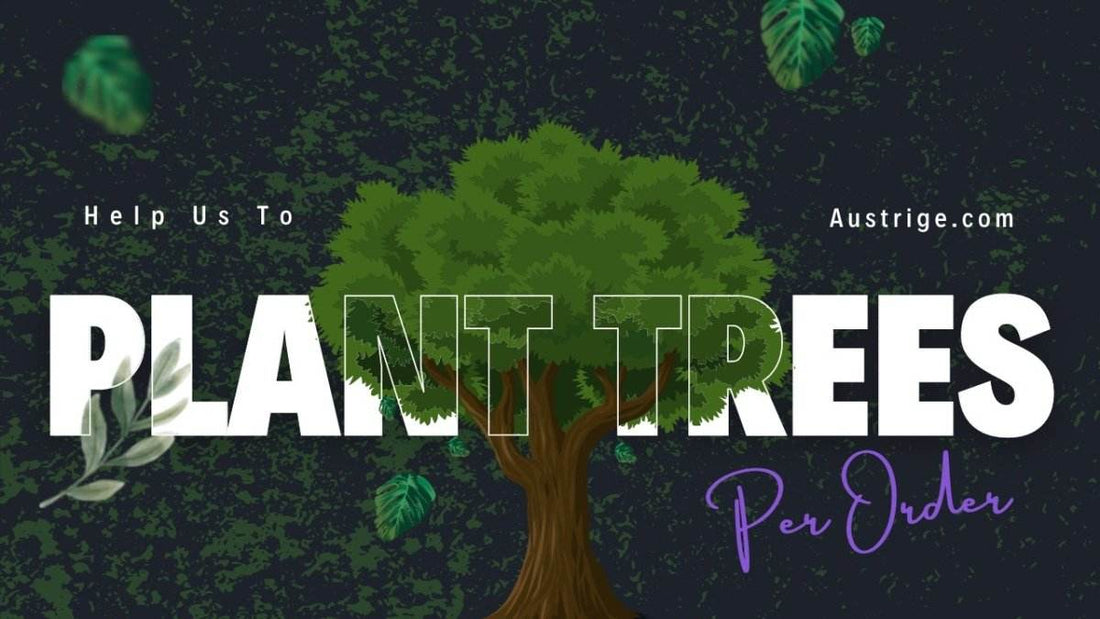 How you can EASILY plant trees with Austrige (Video Blog) - Austrige™