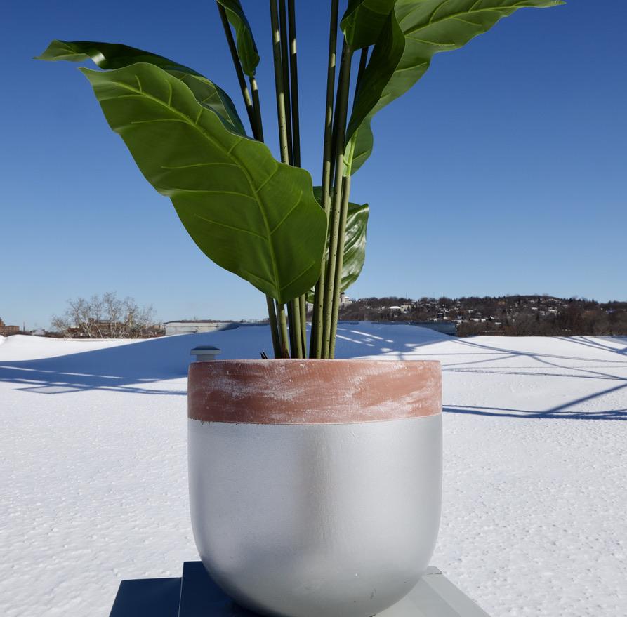 Camilo Glazed Planter 12''