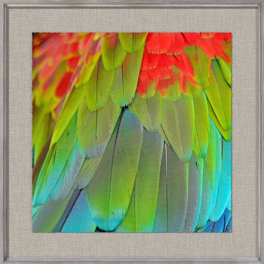 Tropical Plumage III