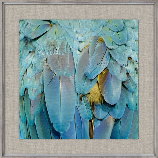 Tropical Plumage IV
