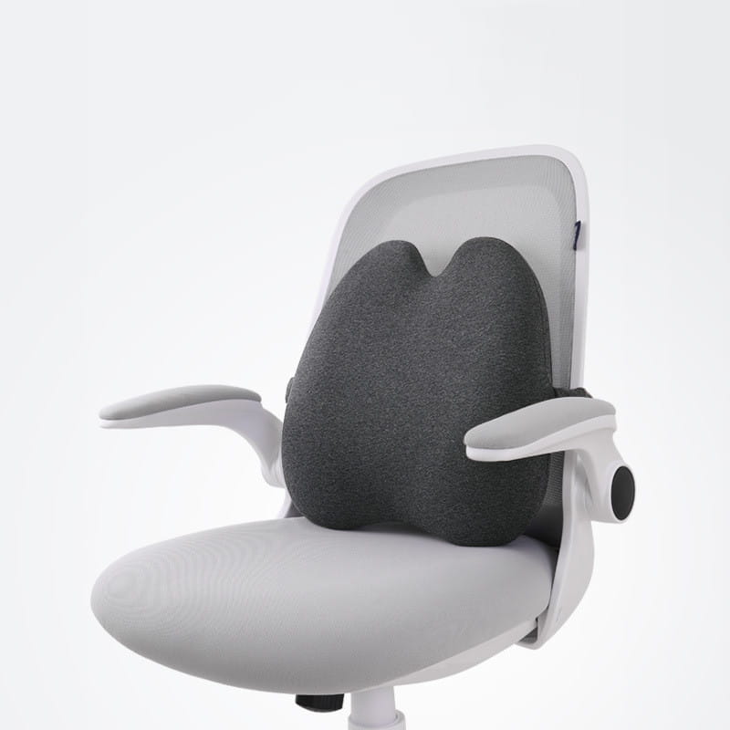 Wrapped Lumbar Support Cushion Pillow