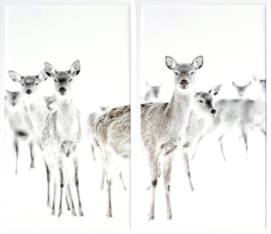 Diptych Surveillance