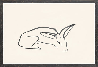 Collection 17 Cachet Rabbit