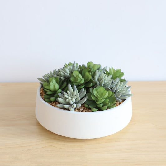 Eva Artificial Succulent Arrangement in Low White Pot