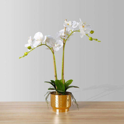 Gladiola Faux Potted Orchid Floral Arrangement 24 Inches