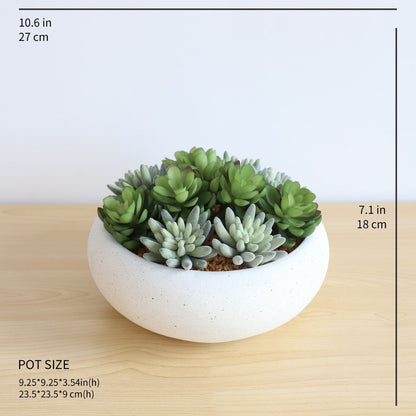 Zed Faux Succulent Arrangement in Low White Pot 7.1"