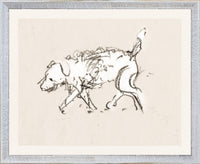 Collection 08 Dog Study, 1930