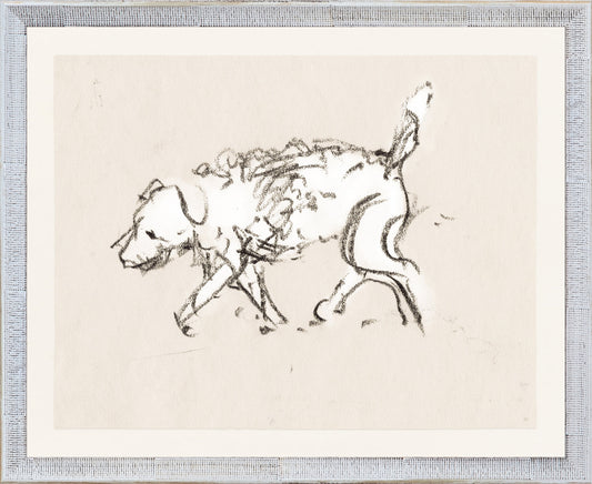 Collection 08 Dog Study, 1930