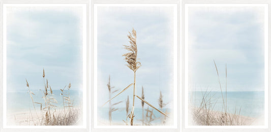 Triptych Dune Grass