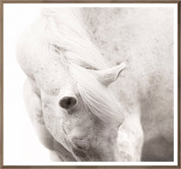 Equine Portrait Wall Art