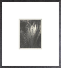 史蒂格利茨 X 雲序列