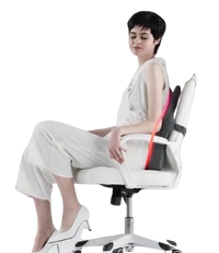 Austrige Memory Foam Back Cushion - Lumbar Support Pillow