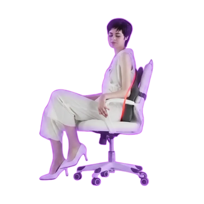 Austrige Memory Foam Back Cushion - Lumbar Support Pillow