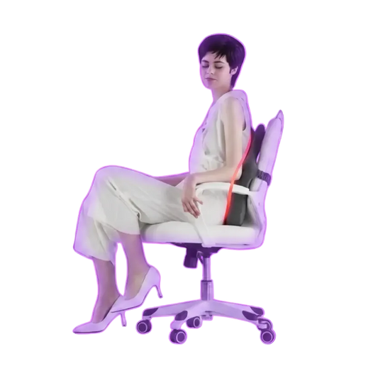 Austrige Memory Foam Back Cushion - Lumbar Support Pillow