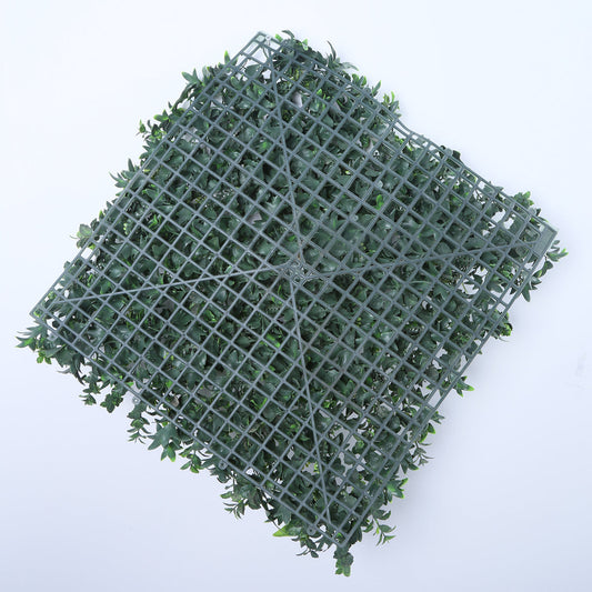 Barcelona (box of 12) green wall