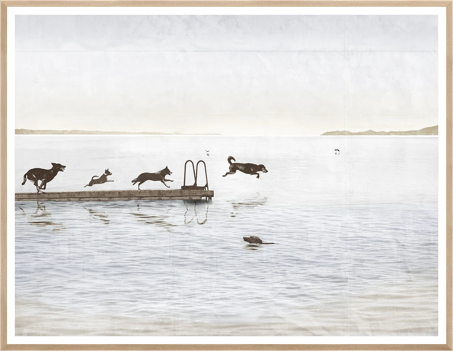 Dogs Day at the Cottage