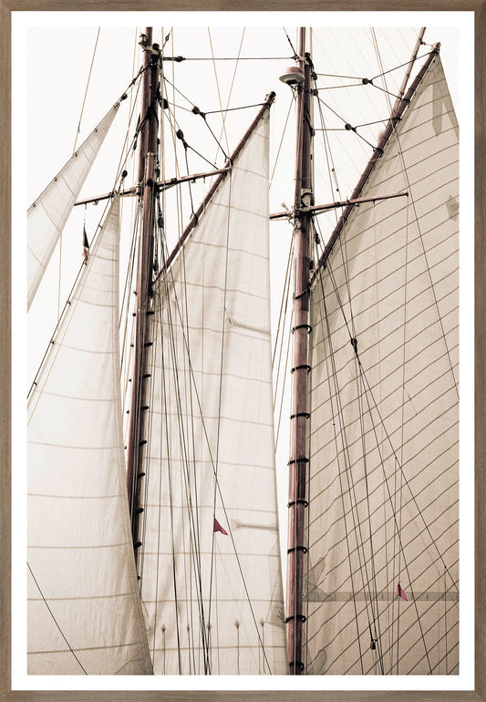Sailing Details